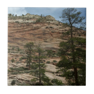 Azulejo De Cerâmica Paredes de Rocha Desgastadas no Parque Nacional de