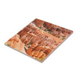 Azulejo De Cerâmica Parque Bryce Canyon Utah Paisagem Hoodoos Foto