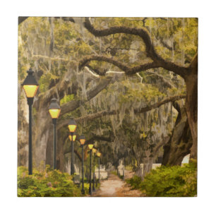 Azulejo De Cerâmica Parque de Forsyth - foto, savana, Geórgia (GA) EU