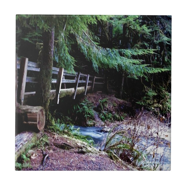 Azulejo De Cerâmica Parque de Olimpiadas Rustic Wooden Bridge (Frente)