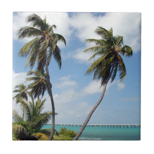 Azulejo De Cerâmica Parque Estadual da Bahia Honda