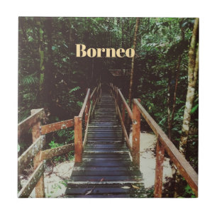 Azulejo De Cerâmica Parque Nacional Bako - Borneu