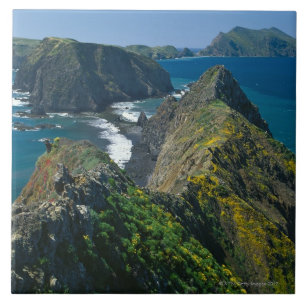 Azulejo De Cerâmica Parque nacional das ilhas channel, do sul