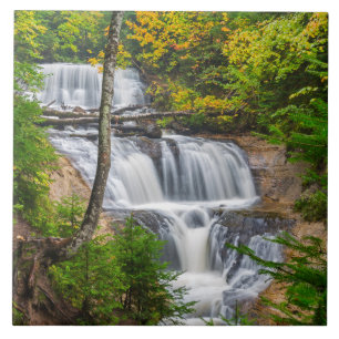 Azulejo De Cerâmica Parque Nacional das Margens do Lago, Sable Falls