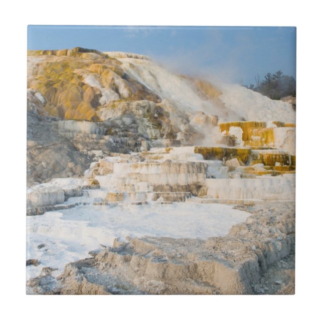 Azulejo De Cerâmica Parque nacional de Yellowstone (Frente)