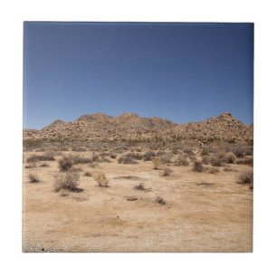 Azulejo De Cerâmica Parque Nacional Joshua Tree