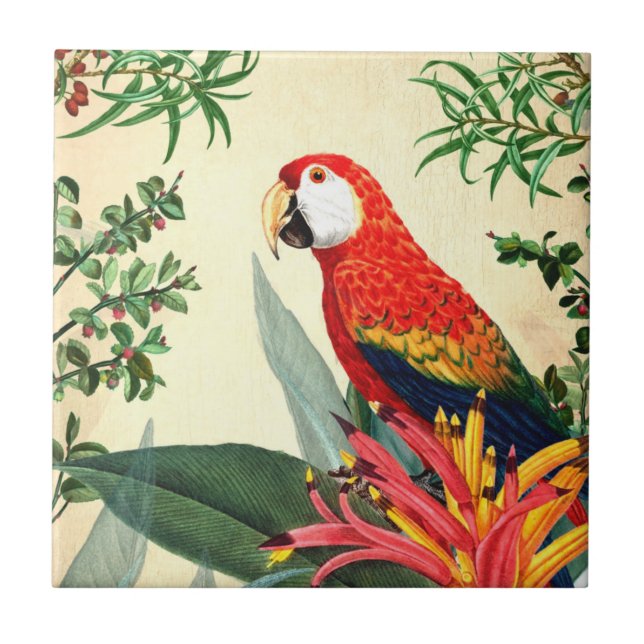 AZULEJO DE CERÂMICA  PARROT TROPICAL BIRD 8 (Frente)