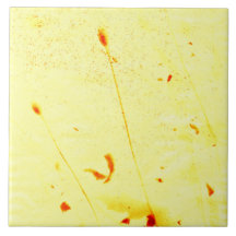 Pás de papoila secas