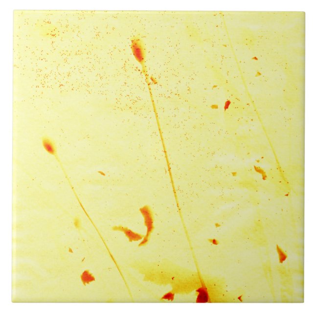 Azulejo De Cerâmica Pás de papoila secas (Frente)