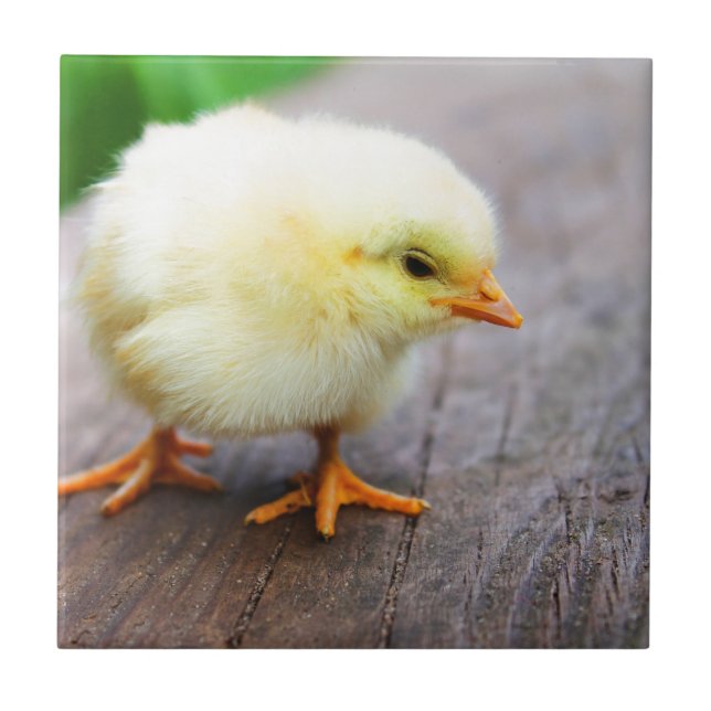 Azulejo De Cerâmica páscoa (Frente)