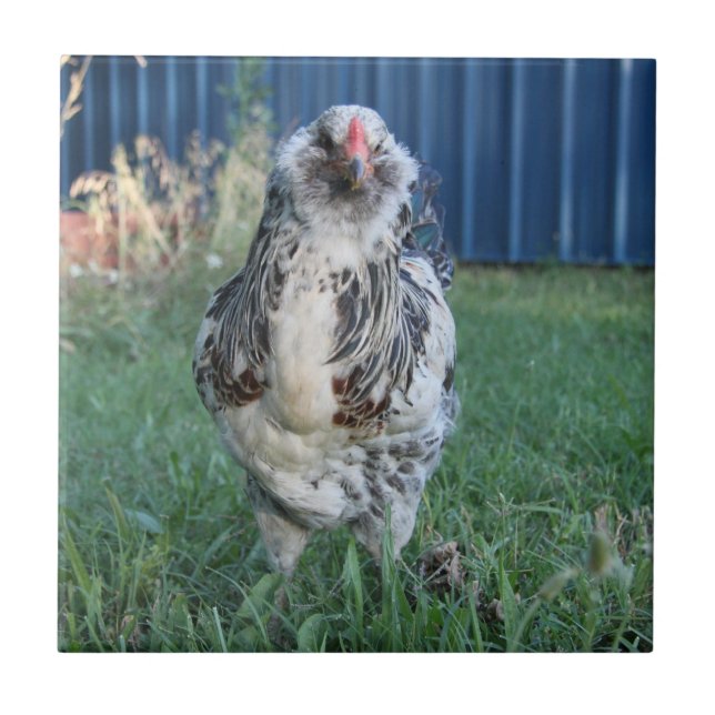 Azulejo De Cerâmica Páscoa Egger Rooster (Frente)