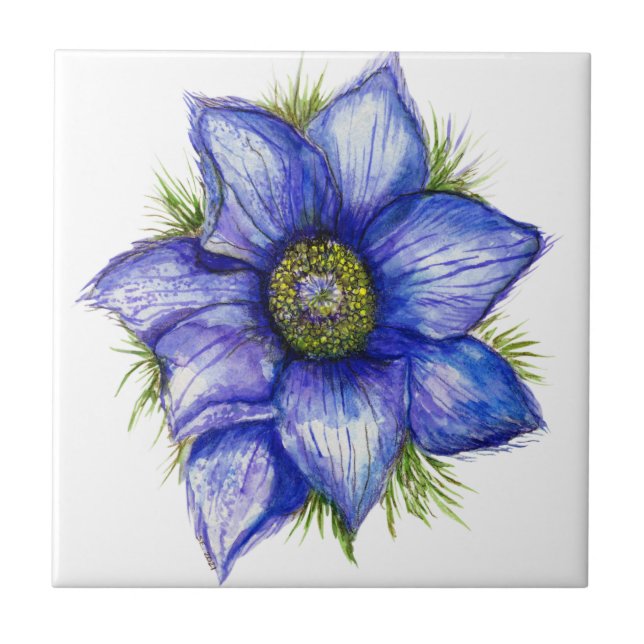 Azulejo De Cerâmica Pasque Flor em Azul (Frente)