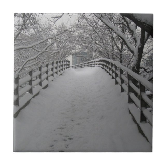 Azulejo De Cerâmica Passadiço (Frente)