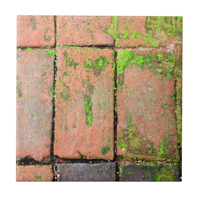 Azulejo De Cerâmica Passagem dos tijolos (Frente)