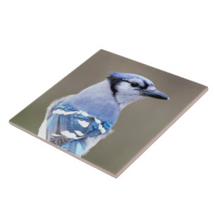 Azulejo De Cerâmica Passarinho azul de jay em Treestump