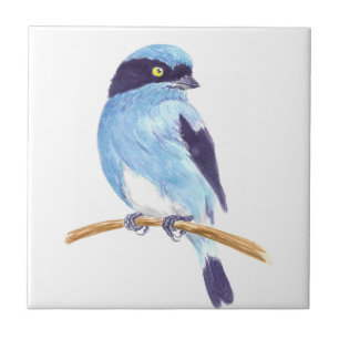 Azulejo De Cerâmica Pássaro azul