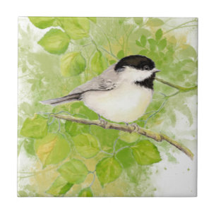 Azulejo De Cerâmica Pássaro bonito do Chickadee na árvore de álamo