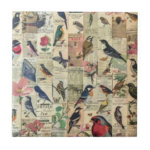 Azulejo De Cerâmica Pássaro Borboleta Jornal Botânico Vintage