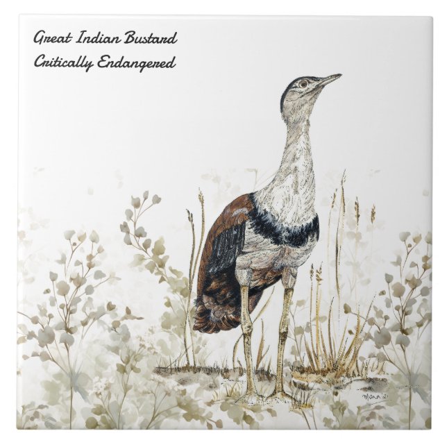 Azulejo De Cerâmica Pássaro de Bustard Indiano, Pintado com as Mãos (Frente)