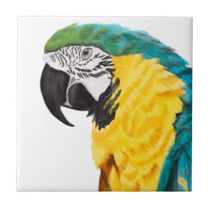 Azulejo De Cerâmica Pássaro de papagaio tropical