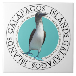 Azulejo De Cerâmica Pássaro-de-Pé-Azul Galápagos