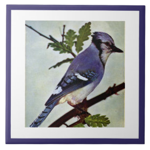 Azulejo De Cerâmica Pássaro e Folhagem, de cor azul-esbranquiçada