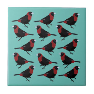 Azulejo De Cerâmica Pássaro Tanager Negro Vermelho-Colarado