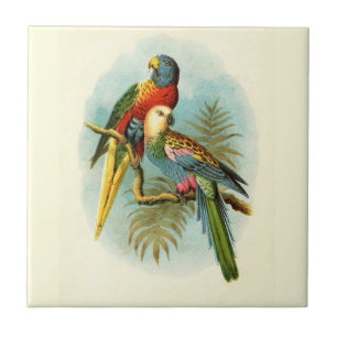 AZULEJO DE CERÂMICA PÁSSARO TROPICAL PARROT 10