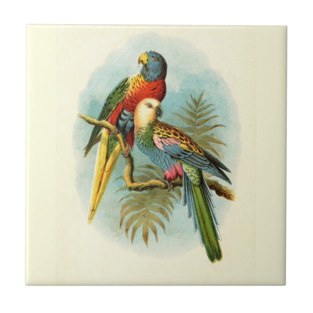 AZULEJO DE CERÂMICA  PÁSSARO TROPICAL PARROT 10 (Frente)