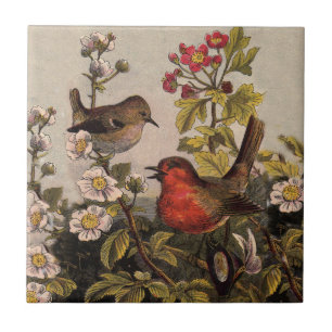 Azulejo De Cerâmica Pássaros Cantores do Robin da Primavera Vintage Bo