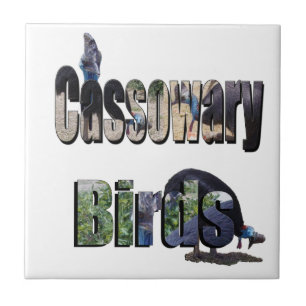 Azulejo De Cerâmica Pássaros Cassowary É O Nome,