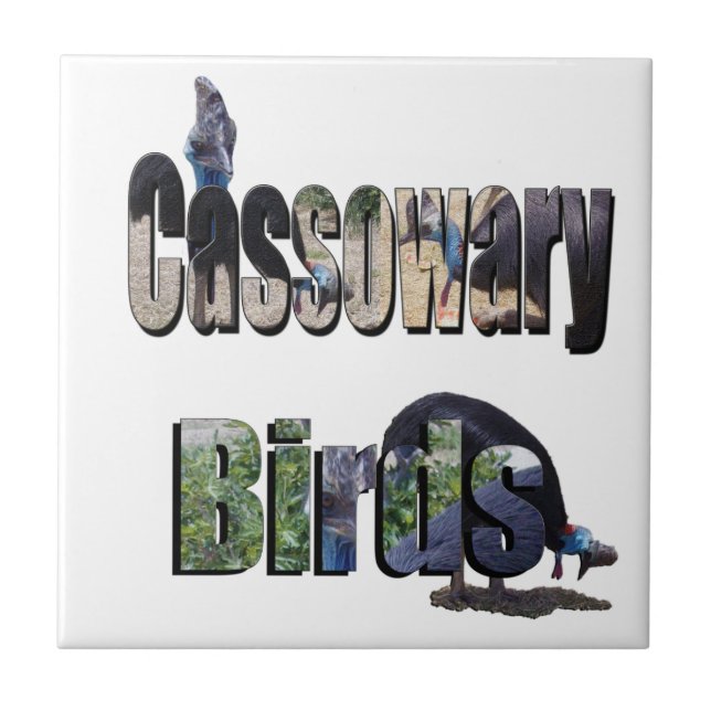 Azulejo De Cerâmica Pássaros Cassowary É O Nome, (Frente)