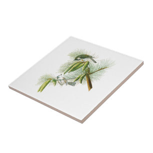 Azulejo De Cerâmica Pássaros com crista América de John James Audubo