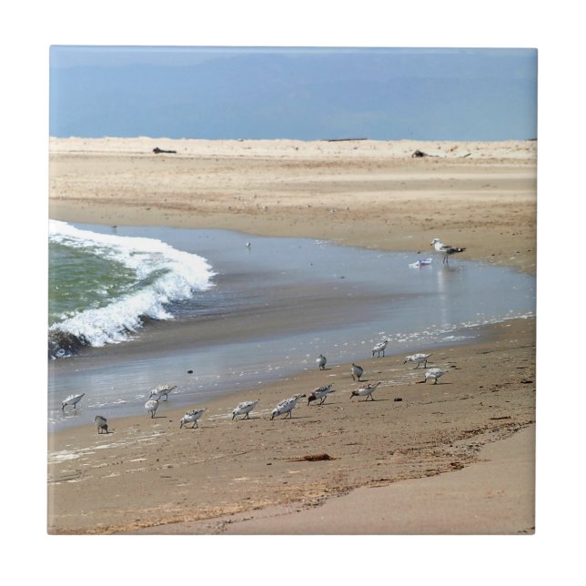 Azulejo De Cerâmica Pássaros da praia (Frente)