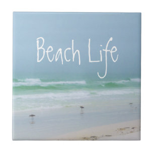 Azulejo De Cerâmica Pássaros do mar da praia azul