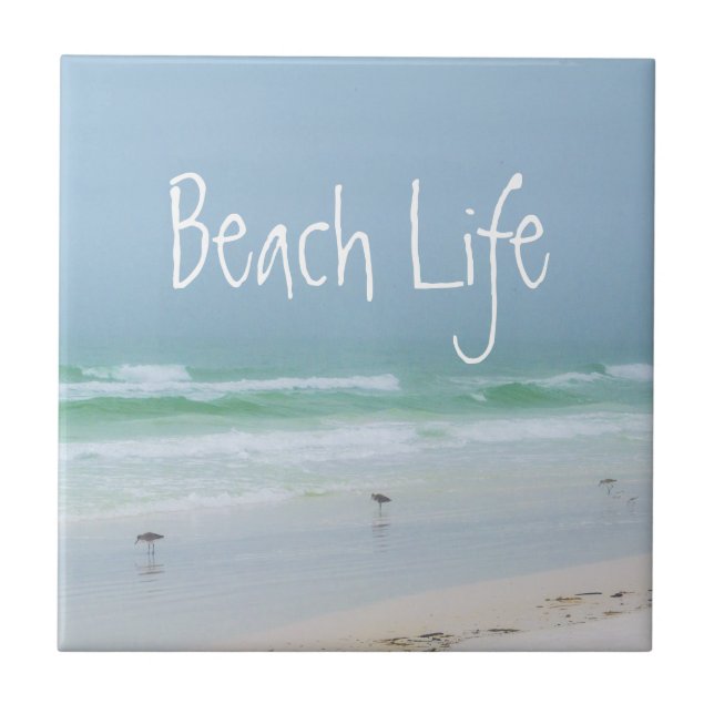 Azulejo De Cerâmica Pássaros do mar da praia azul (Frente)