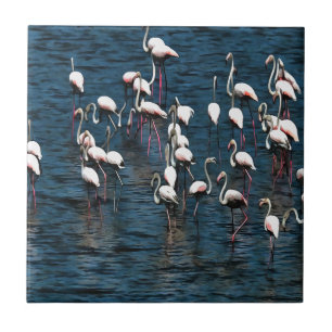 Azulejo De Cerâmica Pássaros Flamingo, Cor-de-Rosa e Branco, Em Azul-I