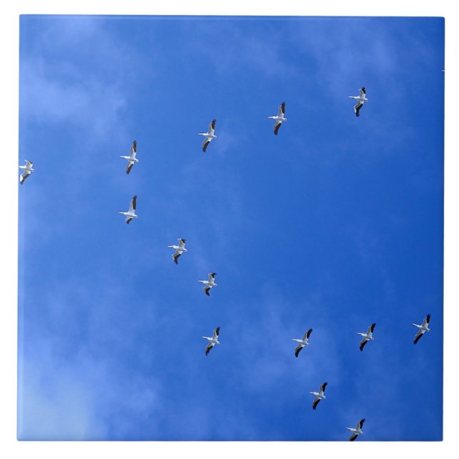 Azulejo De Cerâmica Pássaros migratórios (Frente)