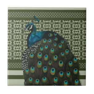 Azulejo De Cerâmica Pássaros-Pássaros-Pássaros-Pássaros-Pavão-Pavão El