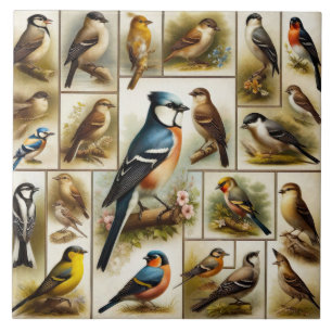 Azulejo De Cerâmica Pássaros primitivos