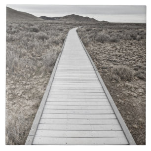 Azulejo De Cerâmica Passeio à beira mar através do deserto