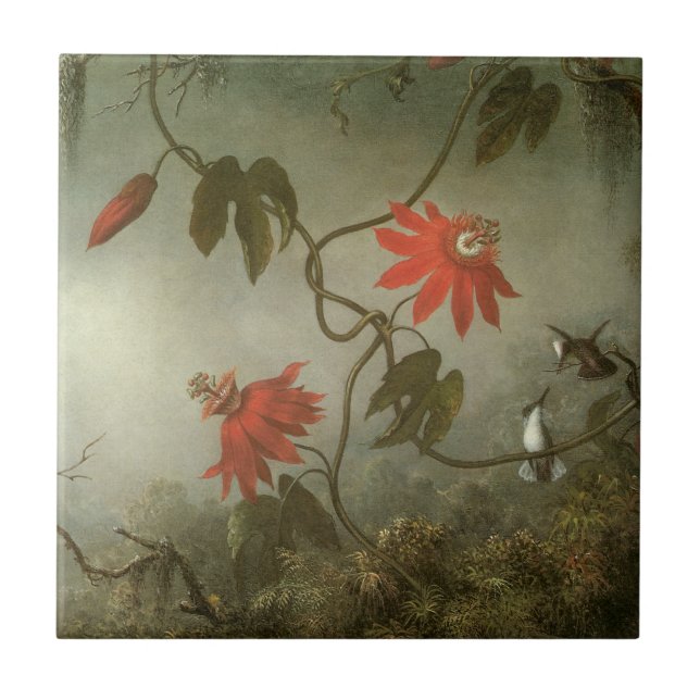 Azulejo De Cerâmica Passion Flowers e Hummingbird por Martin J Heade (Frente)