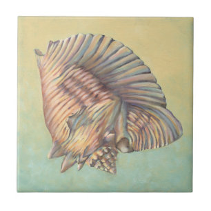 Azulejo De Cerâmica Pastel Grande Shell de Conch