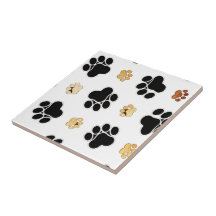 Pata de cão preta e castanha branca