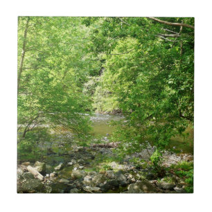 Azulejo De Cerâmica Patapsco River View Maryland - Fotografia Natural