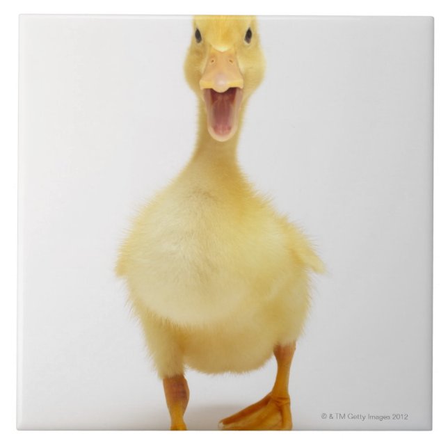 Azulejo De Cerâmica Patinho (Frente)