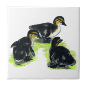 Azulejo De Cerâmica Patinhos do pato selvagem