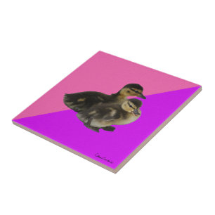 Azulejo De Cerâmica Patinhos em Sorvete de Framboesa Rosa e Roxo