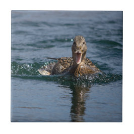 Azulejo De Cerâmica Pato com bico aberto