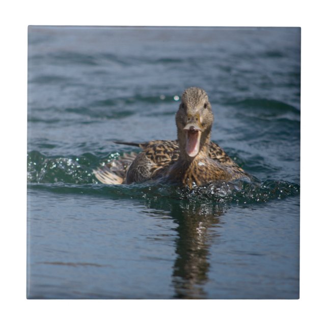 Azulejo De Cerâmica Pato com bico aberto (Frente)
